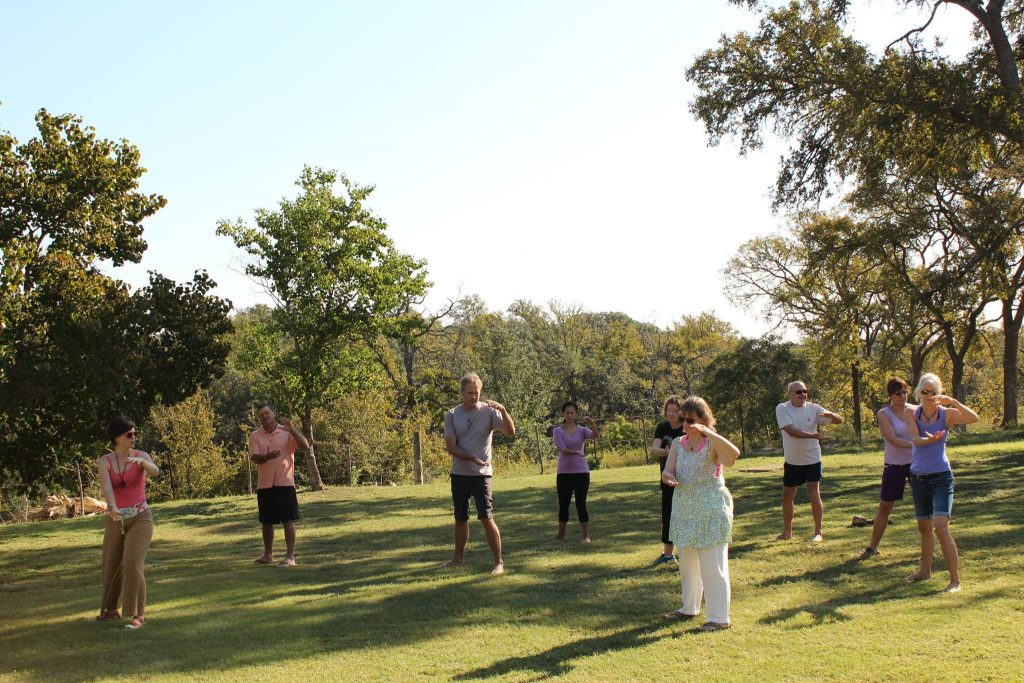 A group of men and women practicing Qigong outside on a clear day.